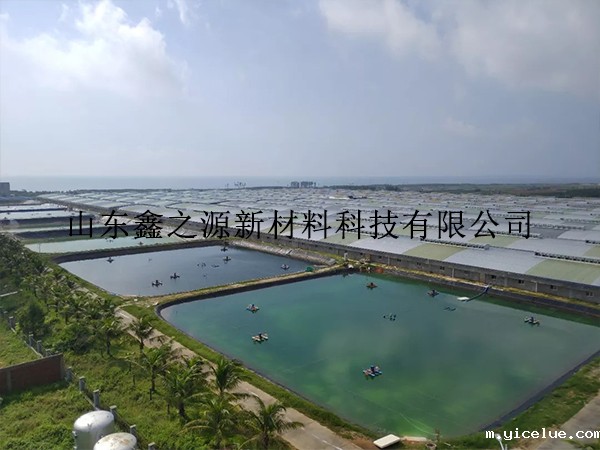 使用养殖防渗膜有效确保池塘蓄水功能