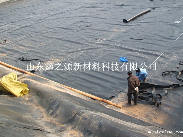 及时对破损的黑膜沼气池进行修补