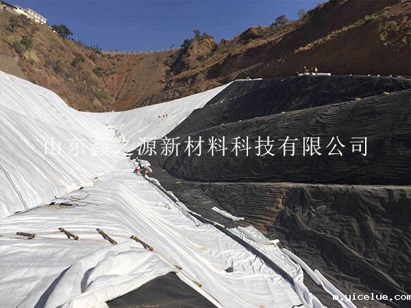 影响垃圾填埋场防渗膜价格的新颖视角