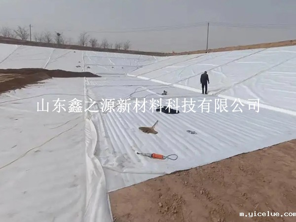 防渗伟德app下载安卓手机运输注意事项：安全高效，细节决定成败