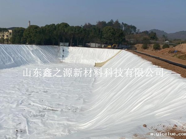 长丝土工布：氧化塘绿色铺设的创新守护者