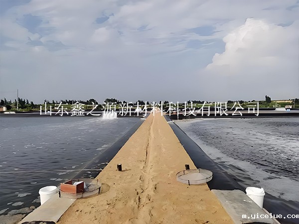 养殖防渗膜原材料选择技巧：打造坚固耐用的养殖环境