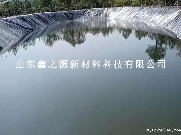 使用鱼塘防渗膜，为鱼儿打造优质生存环境