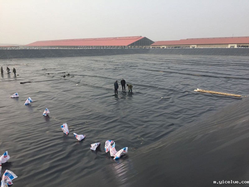 牧场污水池项目