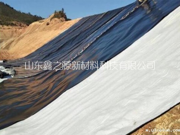 提升鱼虾养殖防渗膜的养殖效率措施概况