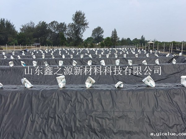 对垃圾填埋场铺设的hdpe土工膜进行合理监理